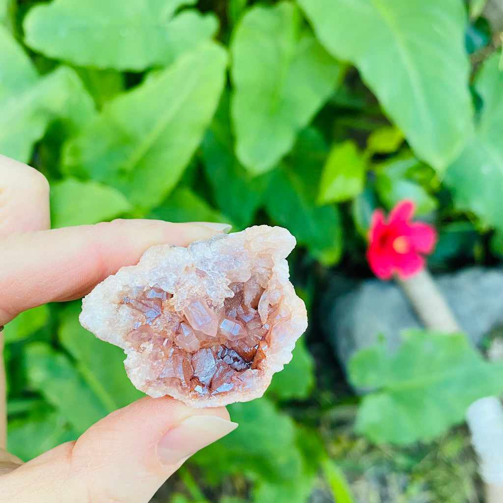 Pink Amethyst Geode X Small