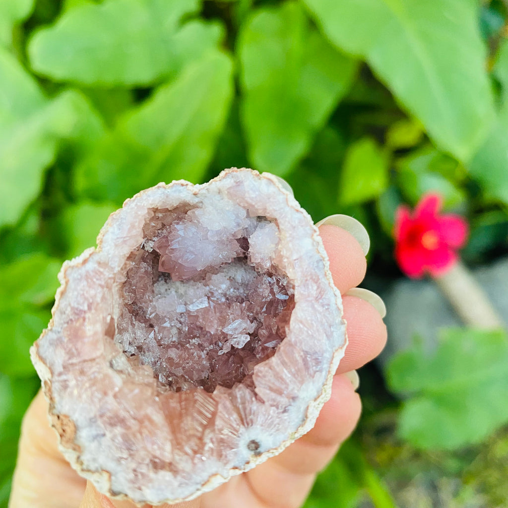 Pink Amethyst Geode X Small
